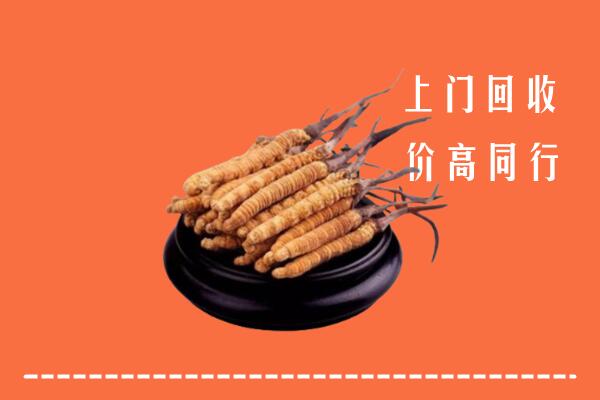 云城区回收散虫草