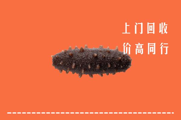 高价求购：云城区回收海参