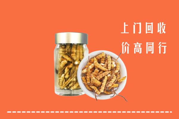 云城区回收冬虫夏草